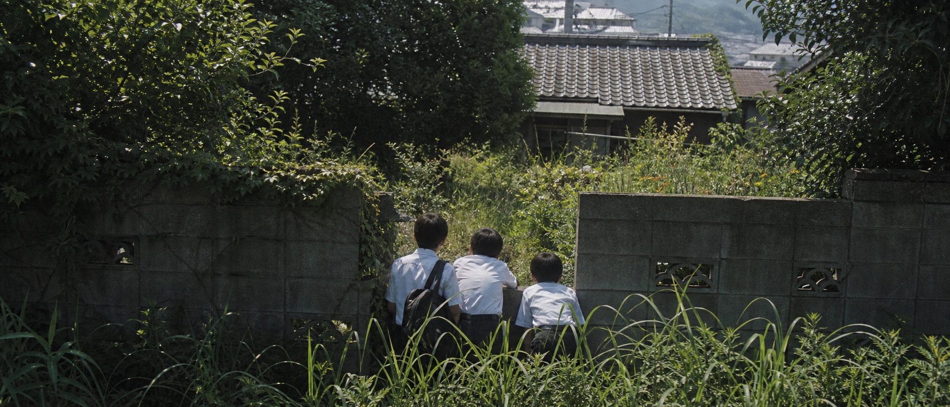 夏の庭 The Friendsの映画トリビア用メインビジュアル